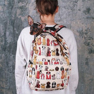 Рюкзак с принтом собаки и сидящий в нем чихуахуа от Kawaii Factory